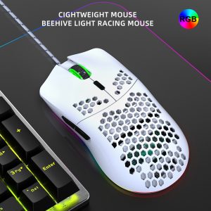 Lightweight Ergonomic RGB Gaming Mouse (Wired)